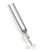Tuning Fork Gardiner Brown C256 (Reusable Stainless Steel) x 1