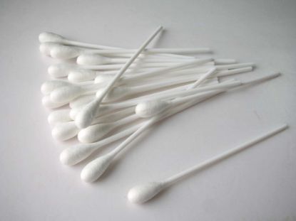 Cotton Tipped Applicator 8" x 50 (Large,Long Tip).