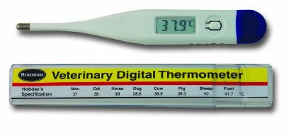 Thermometer Veterinary Digital