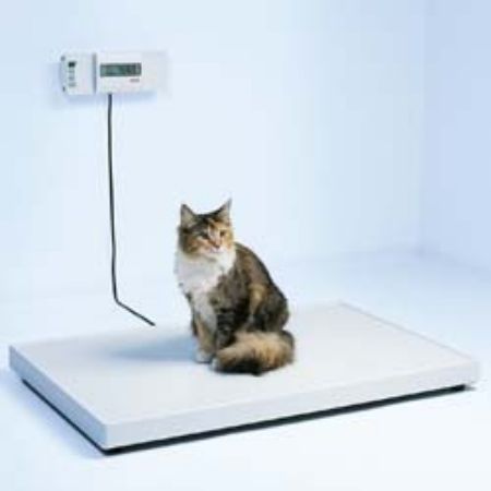 Picture for category Scales (Vets)