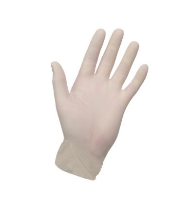 Glove Vinyl Non-Sterile Powder Free Large x 100