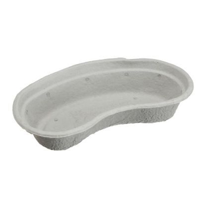 pulp kidney dish image