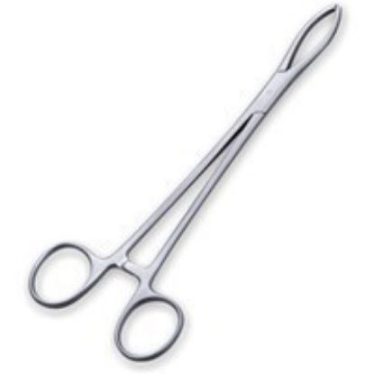 Littlewoods Toothed 2:3 7" Forceps (Disposable Sterile Stainless Steel Single Use)